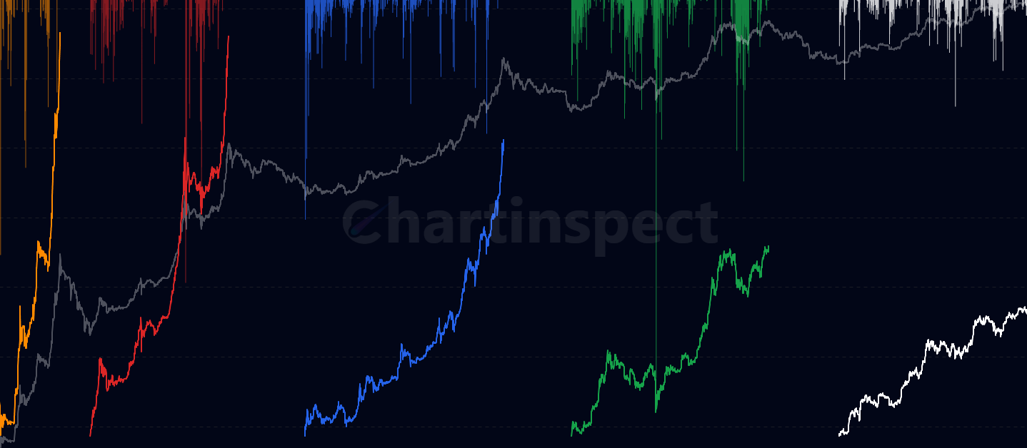 Bull Market SOPR Loss Pressure - Shows SOPR-based loss pressure for each Bitcoin bull market cycle with toggleable STH/LTH (Short/Long-Term Holder) views, revealing when holders are selling at a loss during different market periods and highlighting capitulation events