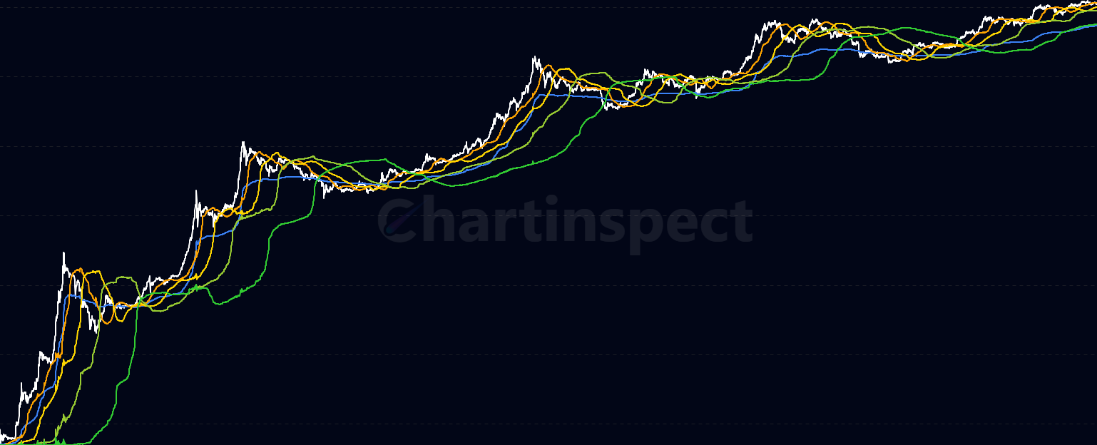 Holder Realized Prices - Display the realized price (average cost basis) for all Bitcoin holder age cohorts from brand new holders (0-1 day) to diamond hands (10+ years). Each line shows where that cohort last moved their coins on-chain, revealing profit/loss zones and holder behavior patterns with a hot-to-cold color gradient.