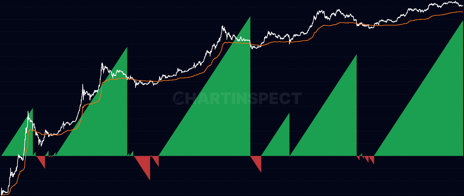 Days Above/Below Realized Price - Tracks consecutive days Bitcoin's price stays above or below its Realized Price, helping contextualize current market positioning relative to historical cycles. Extended streaks above (500+ days) often coincide with bull market euphoria, while extended streaks below indicate bear market accumulation phases.