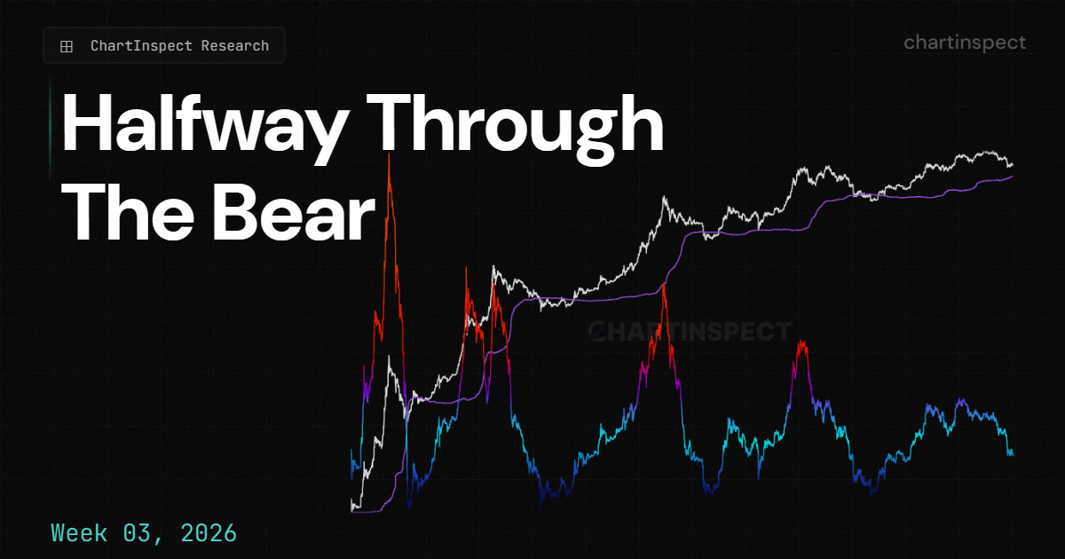 Halfway Through the Bear: What On-Chain Data Says About What Comes Next